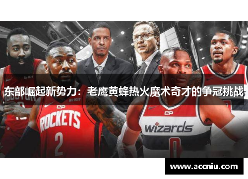东部崛起新势力：老鹰黄蜂热火魔术奇才的争冠挑战