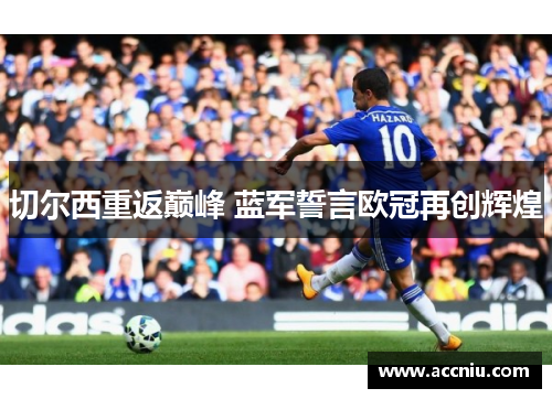 切尔西重返巅峰 蓝军誓言欧冠再创辉煌