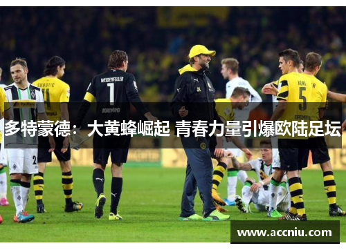 多特蒙德：大黄蜂崛起 青春力量引爆欧陆足坛