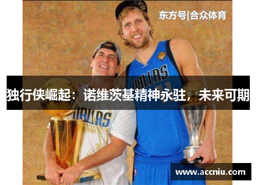 独行侠崛起：诺维茨基精神永驻，未来可期