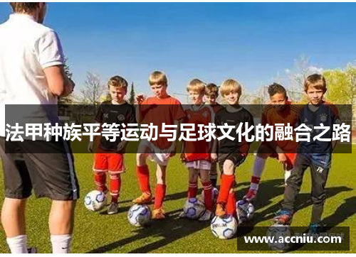 法甲种族平等运动与足球文化的融合之路