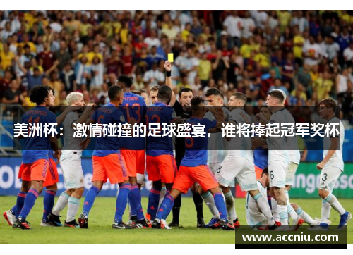 美洲杯：激情碰撞的足球盛宴，谁将捧起冠军奖杯